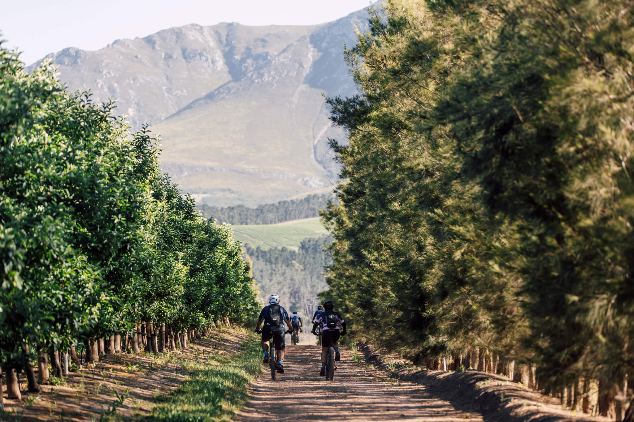 Copy of RTC Nov 2024 333 1 1.jpg